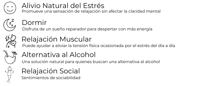 Beneficios del Kava - Alivio Natural, Dormir Mejor, Relajación Muscular, Alternativa al Alcohol y Relajación Social