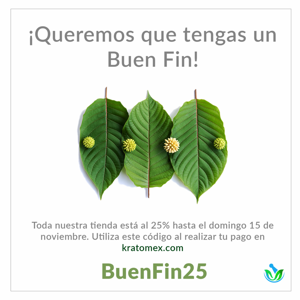 Tres hojas frescas de kratom con flores sobre fondo blanco